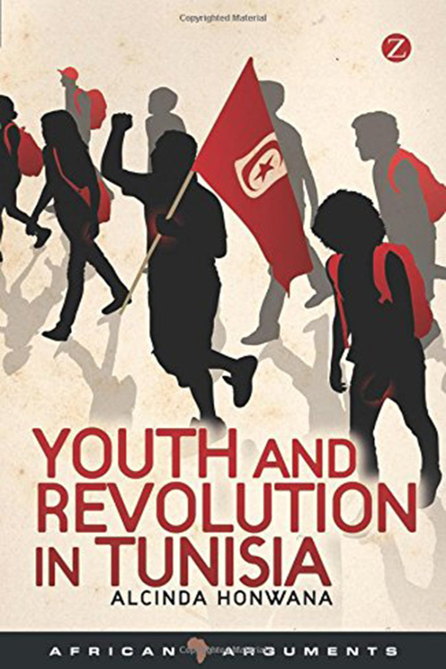 Youth and Revolution in Tunisia (African Arguments) By Alcinda Honwana